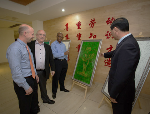 强强联手，构建多元化产学研合作，推动科技产业双丰收